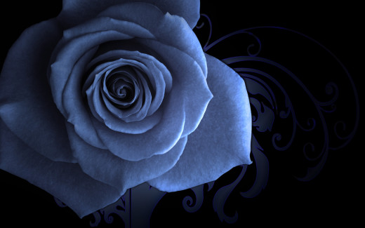 538365 (a): :2560x1600